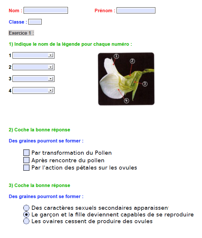 Cr Er Un Pdf Interactif